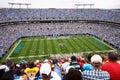NFL - colorful fans - Bank of America Stadium