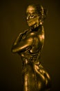 Nude Woman Like Statue In Liqu...