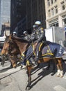 NYPD police officers on horseback ready to protect public on Broadway during Super Bowl XLVIII week in Manhattan