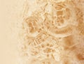 Old Antique Cherub Background