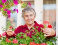 Old Lady With Flowers