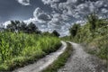 Old Nature Path