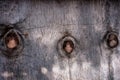 Old Wood Background