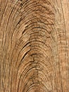 Old Wood Grain Texture