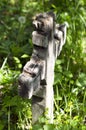Old Wooden Cross