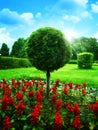 Optimistic Garden