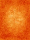 Orange With Ferns Background