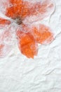 Orange Flower Paper Background