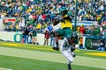 Oregon Ducks Football at Autzen Stadium