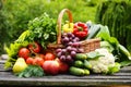 Organic Vegetables In Wicker B...