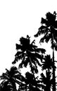 Palm tree illustration of in grungy background Royalty Free Stock Photography