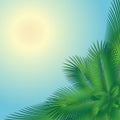 Palm Tree And The Sun