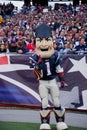 Pat Patriot at Patriots game