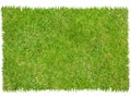 Patch of grass