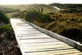 Path Through The Nature Reserv