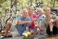 People Toasting At Picnic