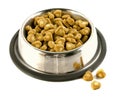 Pet Food Bowl
