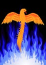 Phoenix Bird