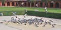 Pigeons on the courtyard Royalty Free Stock Photo