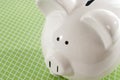 Piggy Bank Against Green Backg...