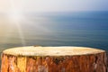 Pine Stump Background Baltic Sea
