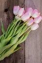 Pink Flowers In Bloom