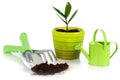 Plant With Garden Tools.