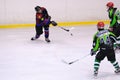 Players in action in the Ice Hockey final of the Copa del Rey (Spanish Cup) between F.C. Barcelona and Jabac Terrassa