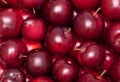 Plum Background
