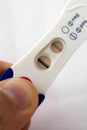 Positive pregnancy test