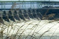 Power Generation