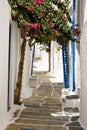 Pretty Greek Pathway, Ios, Greece