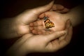 Protection And Love