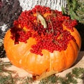 Pumpkin Thanksgiving Day Card - Stock Photos