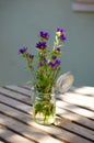 Purple Flowers