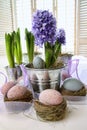 Purple Hyacinths And Easter Eg...