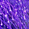 Purple Lights Background