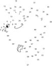Puzzle Game For Kids : Bird