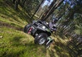Quad In Forest (ATV)