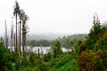 Rain Forest And Lake, Chile