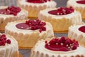 Raspberry Charlotte Cakes