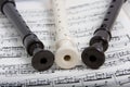 Recorder With Music