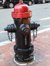 Red and Black Boston Fire Hydrant