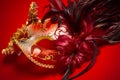 A Red, Gold And Black Mardi Gr...