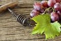 Red grapes with vine leaves old corkscrew wooden handle lies between and on rustic wooden background Stock Images