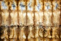 Red-haired Fox Fur Background