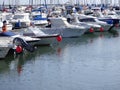 Red nose day boats