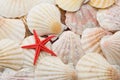 Red Starfish Over Background O...