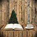 Relax with book in Christmas day