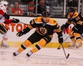 Rich Peverley Boston Bruins